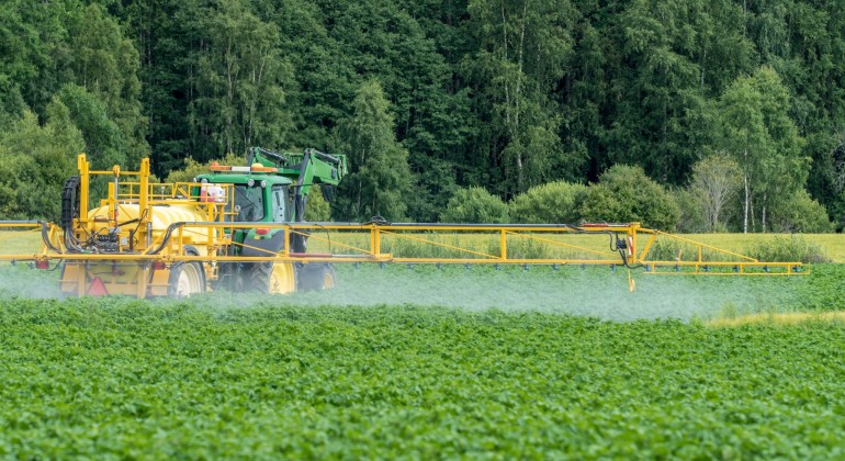 Grön traktor som utför växtskyddsbehandling av potatis.