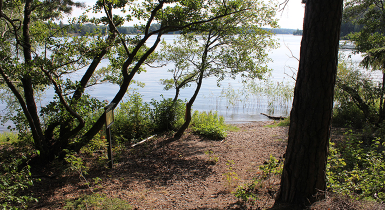 Blandskogen öppnar upp mot en liten strand med utblick över Mälarens vatten. Husby naturreservat. Foto: Länsstyrelsen