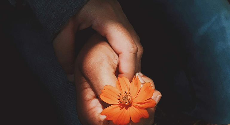 Två händer som håller en orange blomma