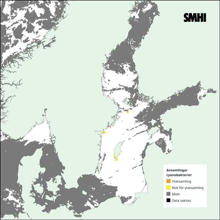 Tolkning av satellitkarta över Egentliga Östersjön 5/7. Källa: SMHI