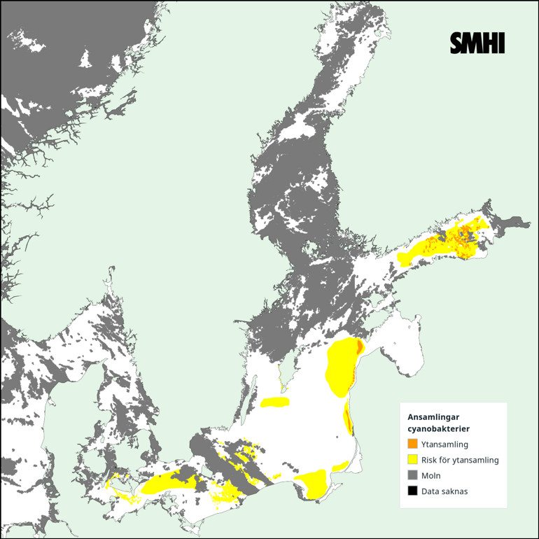 Tolkning av satellitkarta över Egentliga Östersjön 7/7. Källa: SMHI