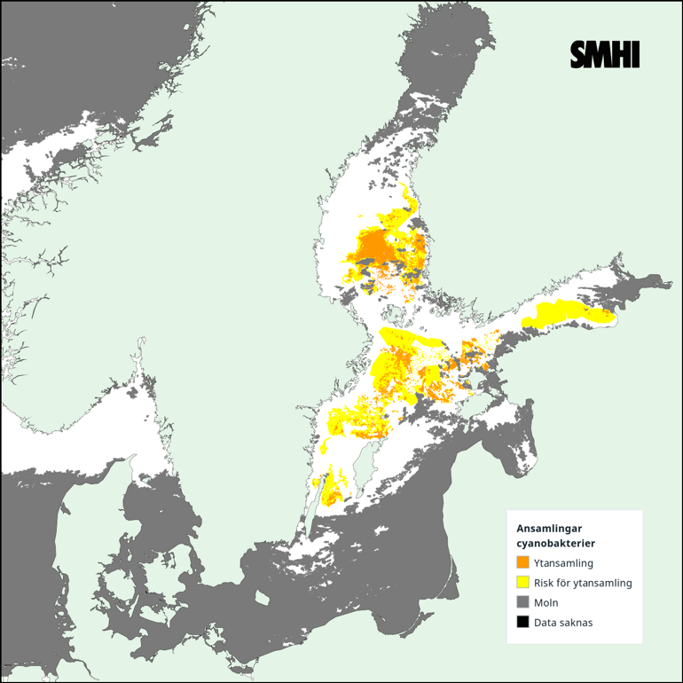 Tolkning av satellitkarta över Egentliga Östersjön 23/7. Källa: SMHI