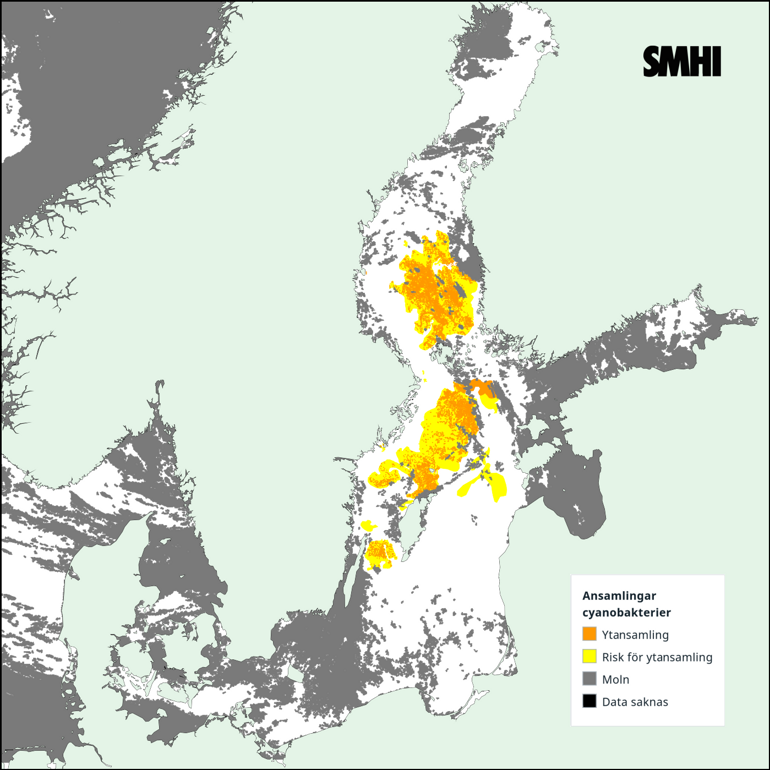 Tolkning av satellitkarta över Egentliga Östersjön 27/7. Källa: SMHI