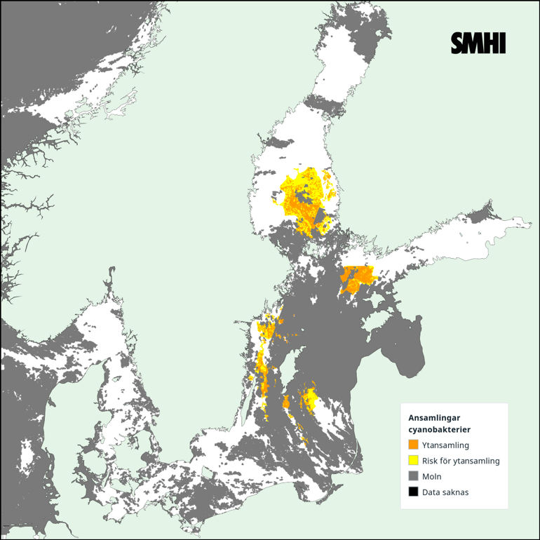 Tolkning av satellitkarta över Egentliga Östersjön 30/7. Källa: SMHI