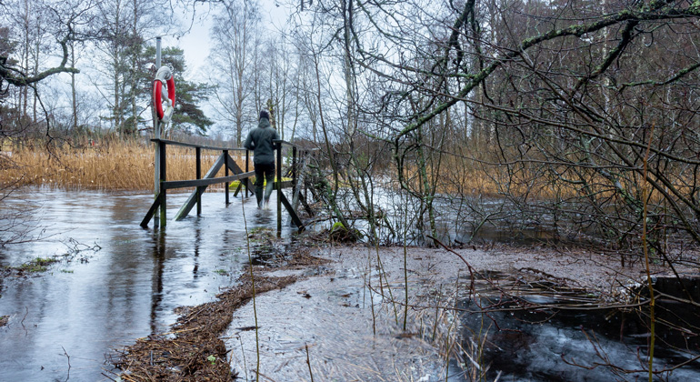 Översvämning i Tidan vid Näs. Mullsjö kommun.