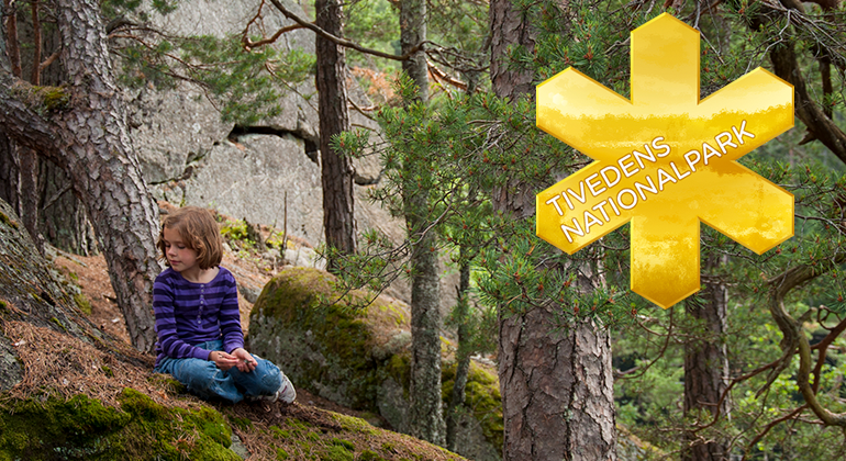 Barn sitter på berghäll bland tallar. Logotype Tivedens nationalpark