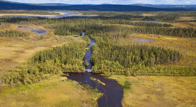 Helikopterbild
som visar ån Torisjoki, som flödar mellan sjöarna Njiehtsakjávrre och
Doaresluoppal. Dessa är del av det värdefulla Torne och Kalix älvsystem.
