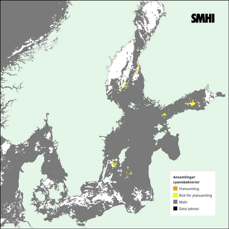 Tolkning av satellitkarta över Egentliga Östersjön 3/8. Källa: SMHI
