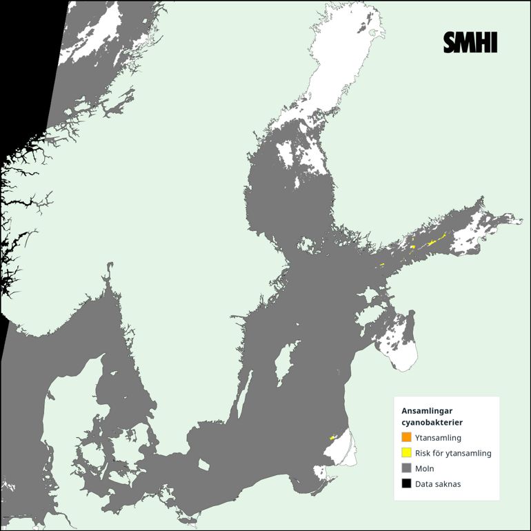 Tolkning av satellitkarta över Egentliga Östersjön 6/8. Källa: SMHI