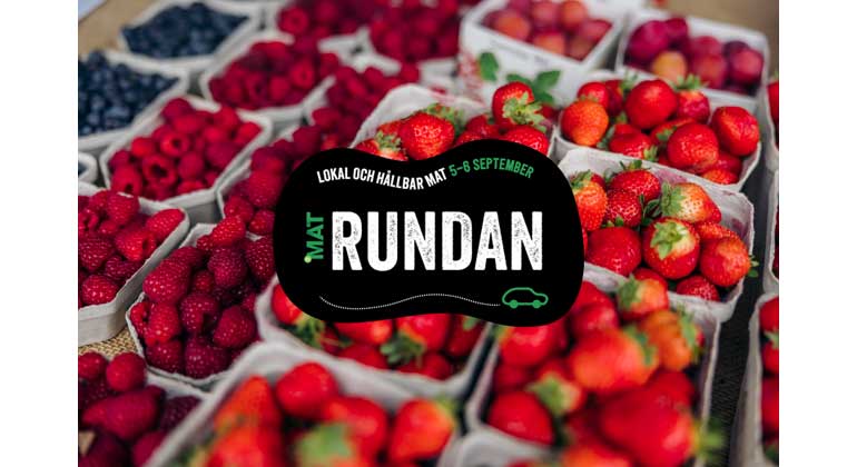 MAT-rundan