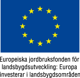 EU flagga med europeiska jordbruksfonden