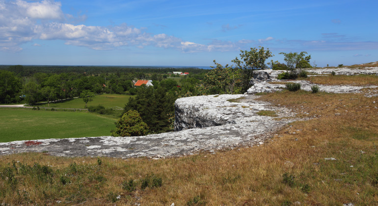 Utsikt över Östergarnslandet från Östergarnsberget