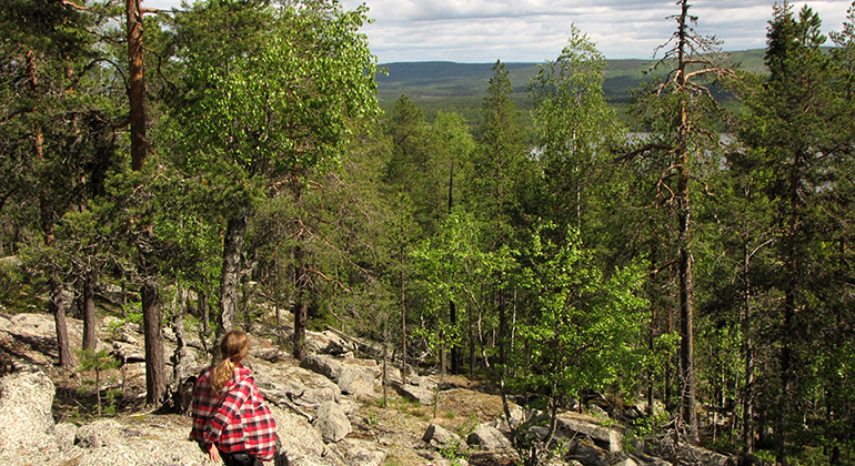 Människa tittar på utsikt från blockig mark med skog