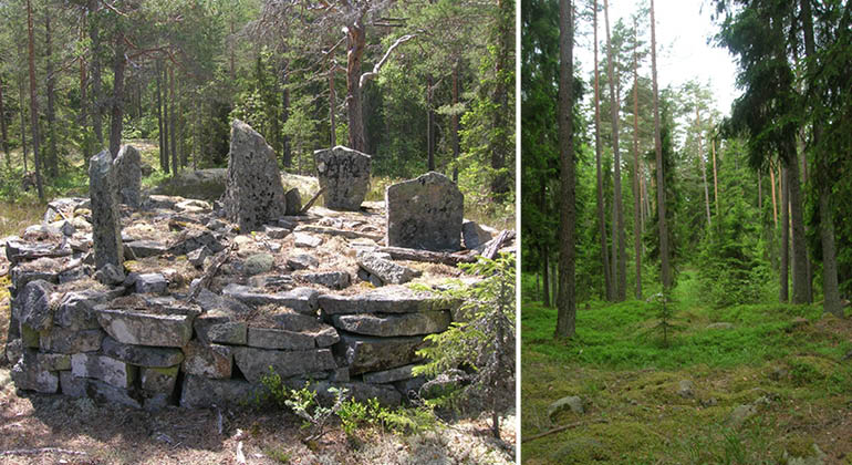 Gränsröse och äldre flerskiktad skog i naturreservatet Slåttmyran