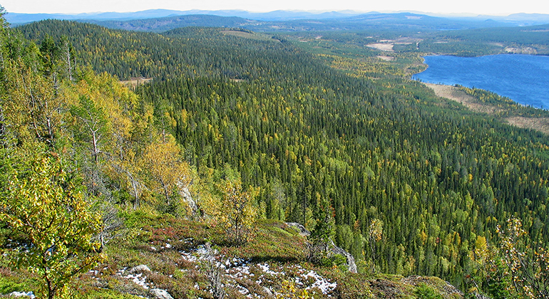 Utsikt från berg över skogsmark och sjöar