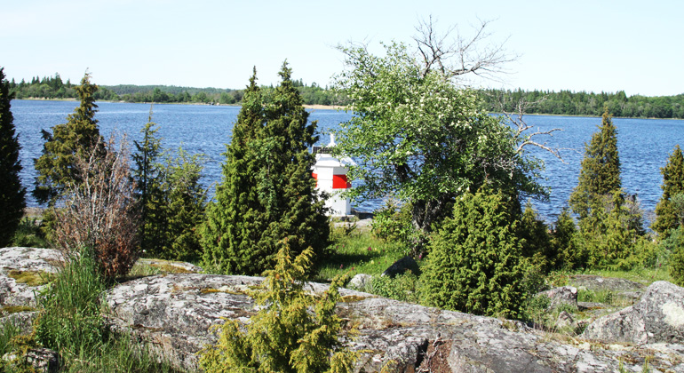 Utsikt mellan träd mot havet och Hensviksudde fyr i Fiskaruddens naturreservat. Foto: Länsstyrelsen