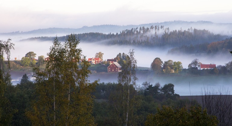 Landskap över Skärstadalen.
