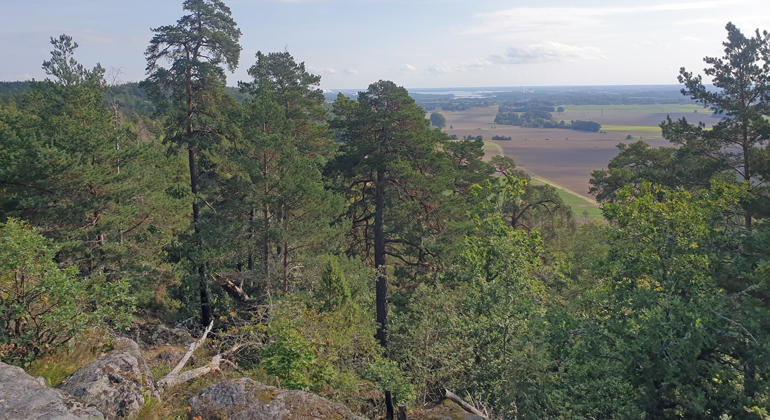 Foto på vandringsled i Kvillingeförkastningens naturreservat