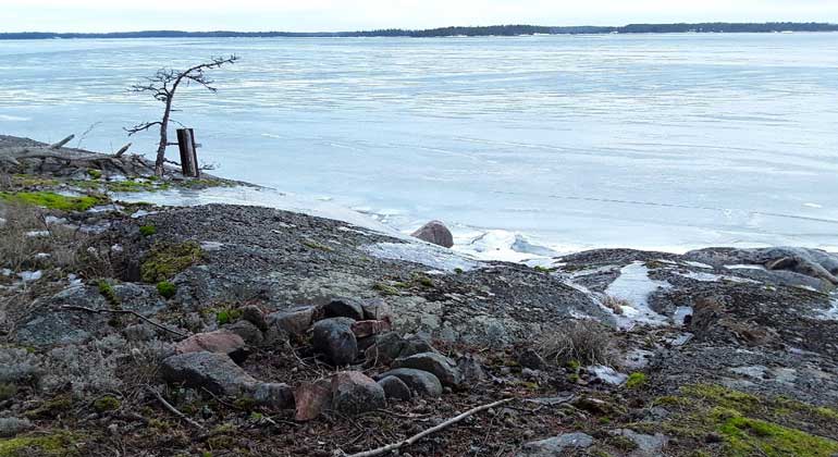 Klipphällar sluttar ner mot isigt hav i Norrängsskogens naturreservat. Foto: Naturföretaget