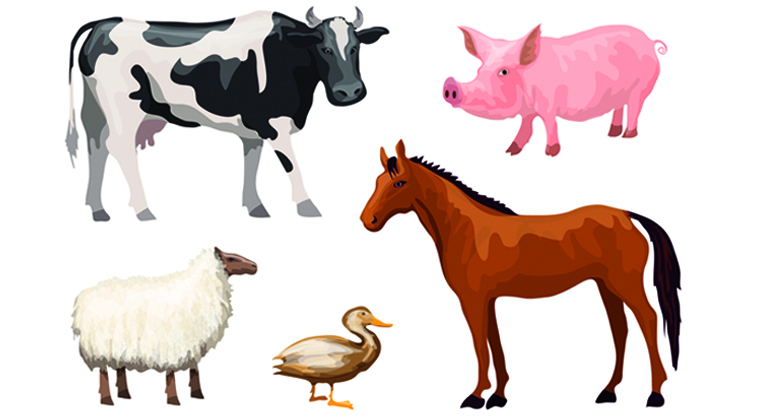 En illustration av olika djur: ko, gris, får, en fågel och en häst.