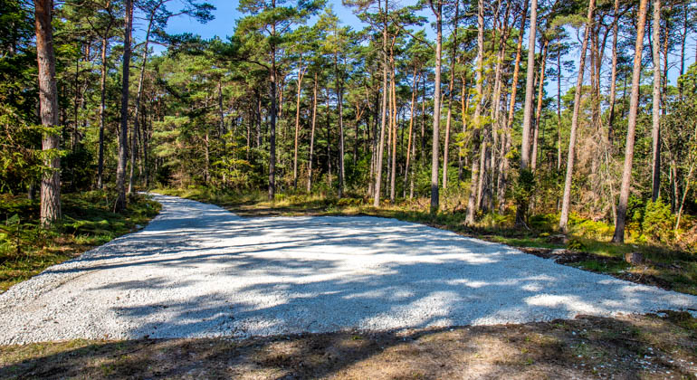 Grusad parkeringsplats i skogsområde i Naturreservatet Helges hage.