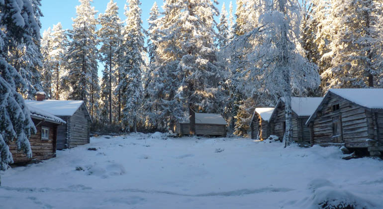 Foto av några stugor omgivna av skog och snö.