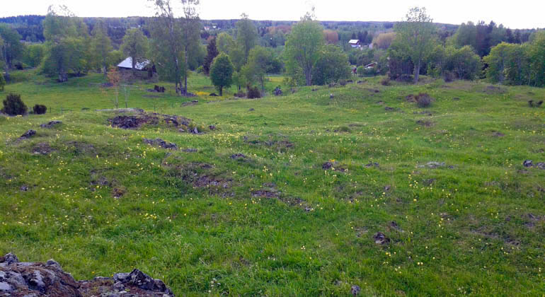 Foto av kulliga ängsmarker med lite gula blommor.