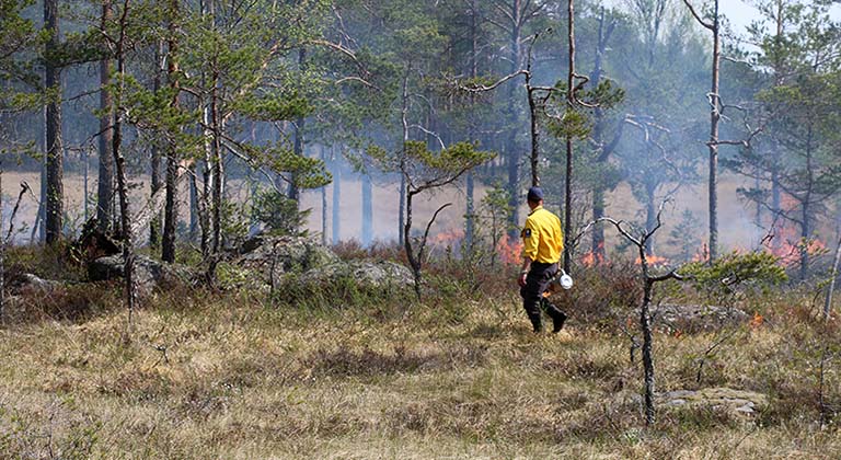 En man klädd i gul skjorta håller en brännkanna i handen. I bakgrunden brinner marken med låga lågor.