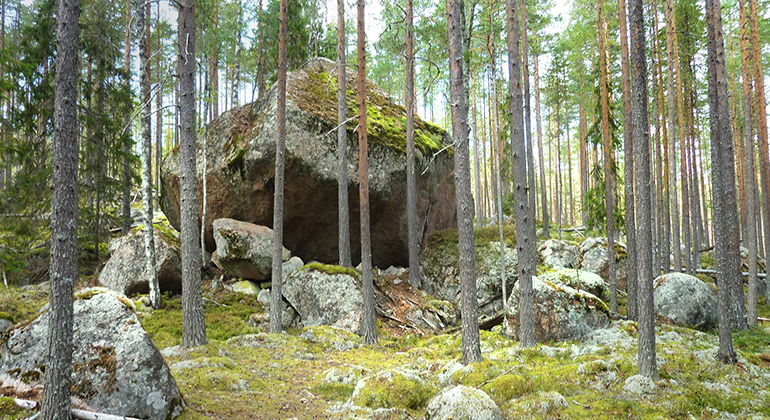 Ett stort stenblock i en skog. 
