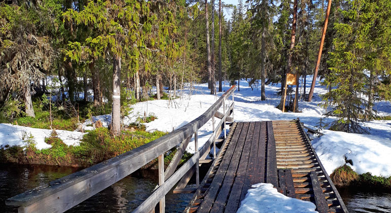 En bro över ett vattendrag, i ett vinterlandskap och skog i bakgrunden