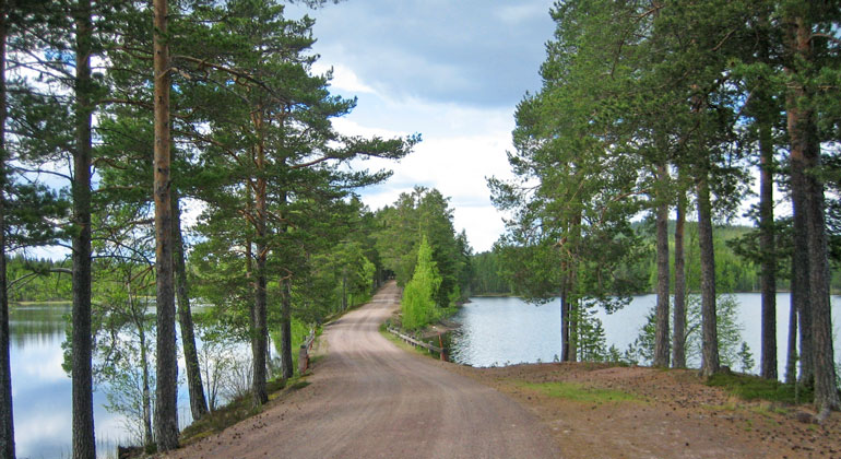 En slingrande grusväg på en smal ås mellan två sjöar. Tallar vid sidan om vägen.