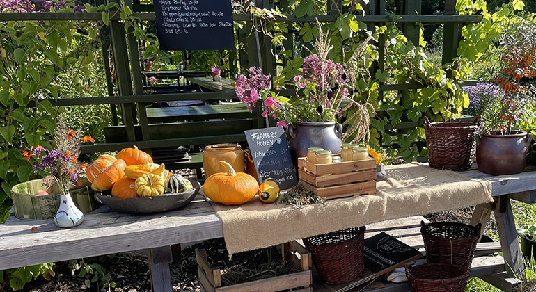 Ett bord uppdukat med pumpor, blommor, honung och andra närodlade produkter.