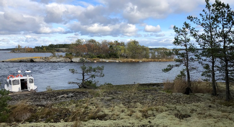 En båt ligger förtöjd vid tallbevuxna klippor i Hästholmens naturreservat. Foto: Naturföretaget
