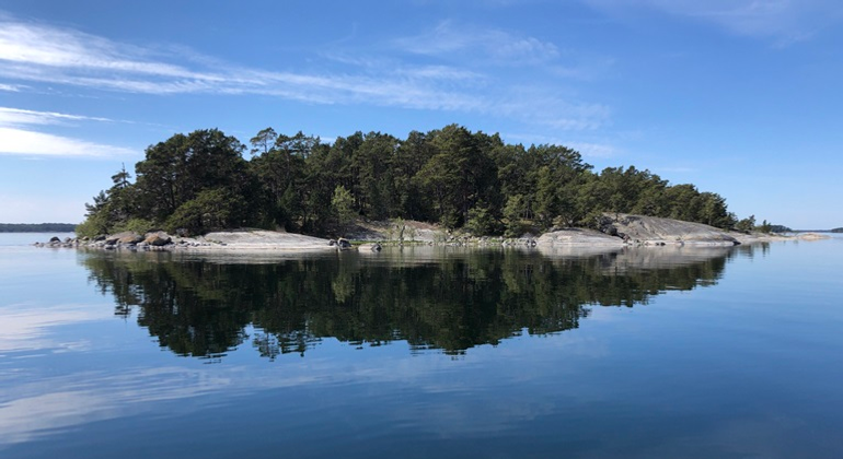 En ö i Lilla Svedjeholmens naturreservat speglar sig i det blanka vattnet.