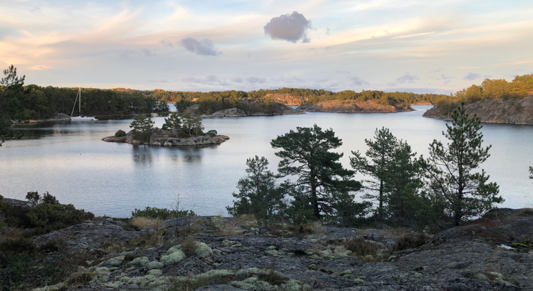 Utsikt över öar och segelbåtar från höga klippor i naturreservatet Skogskär-Vindalsö. Foto: Naturföretaget