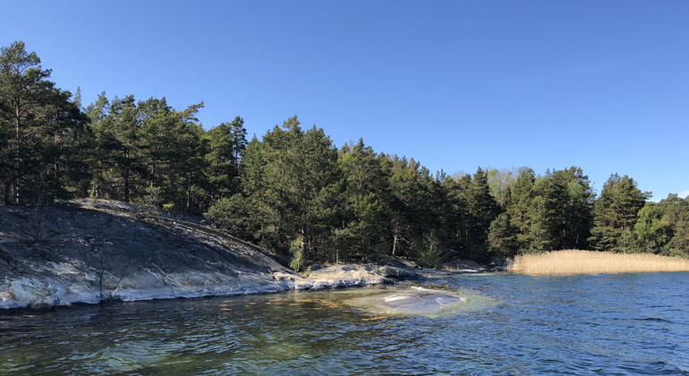 Tallskog, branta klippor, blekgul vass och vatten som skimrar i blått och grönt, Stavsudda-Tjägö naturreservat. Foto: Länsstyrelsen