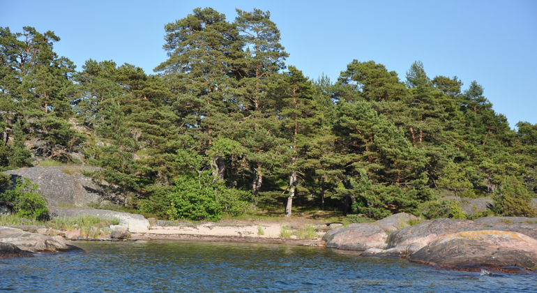 Tallskog och en liten sandstrand mellan klippor i Vånsholmens naturreservat. Foto: Länsstyrelsen