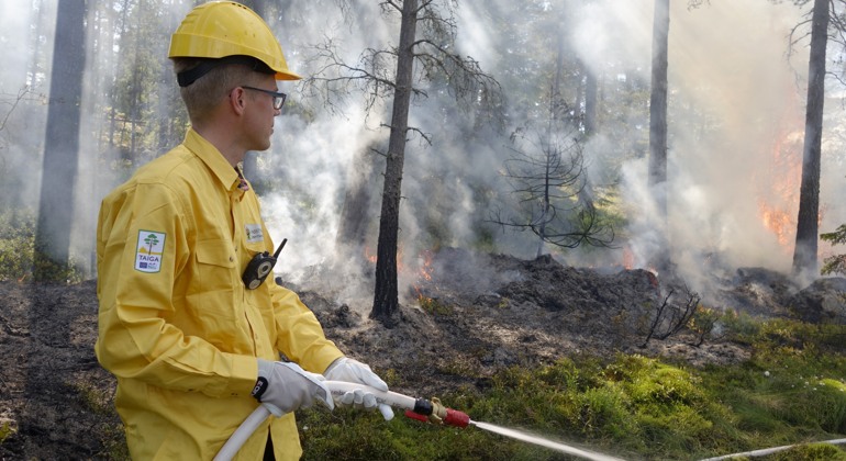 En man med gul hatt släcker en kontrollerad naturvårdsbränning med hjälp av en vattenslang. I bakgrunden ser man skog som brinner.