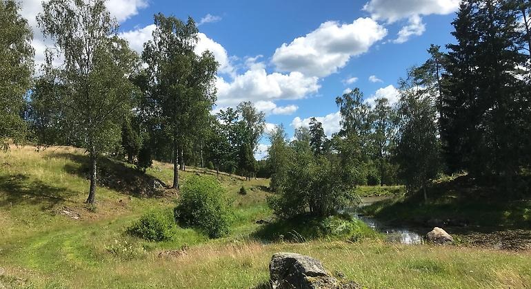 En kuperad betesmark rikt på både stenar och träd. I högra kanten slingrar sig en å. Bild från Linneryd, ett Natura 2000-område som ligger i Jönköpings län.
