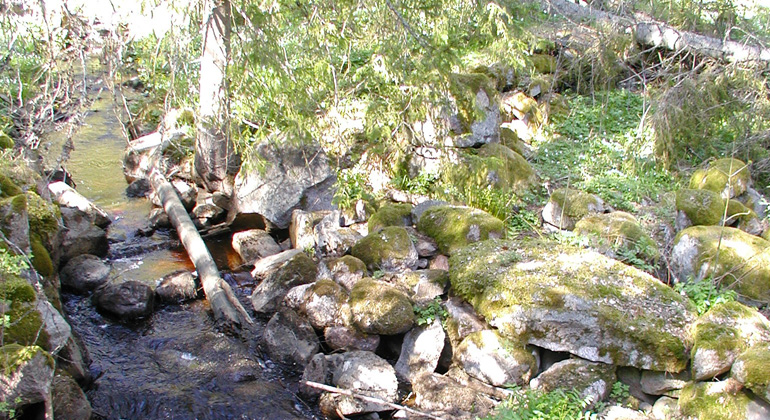 Vattendrag med mossklädda stenbumlingar och trästockar i naturreservatet Borudan-Pellemossen. Foto: Länsstyrelsen