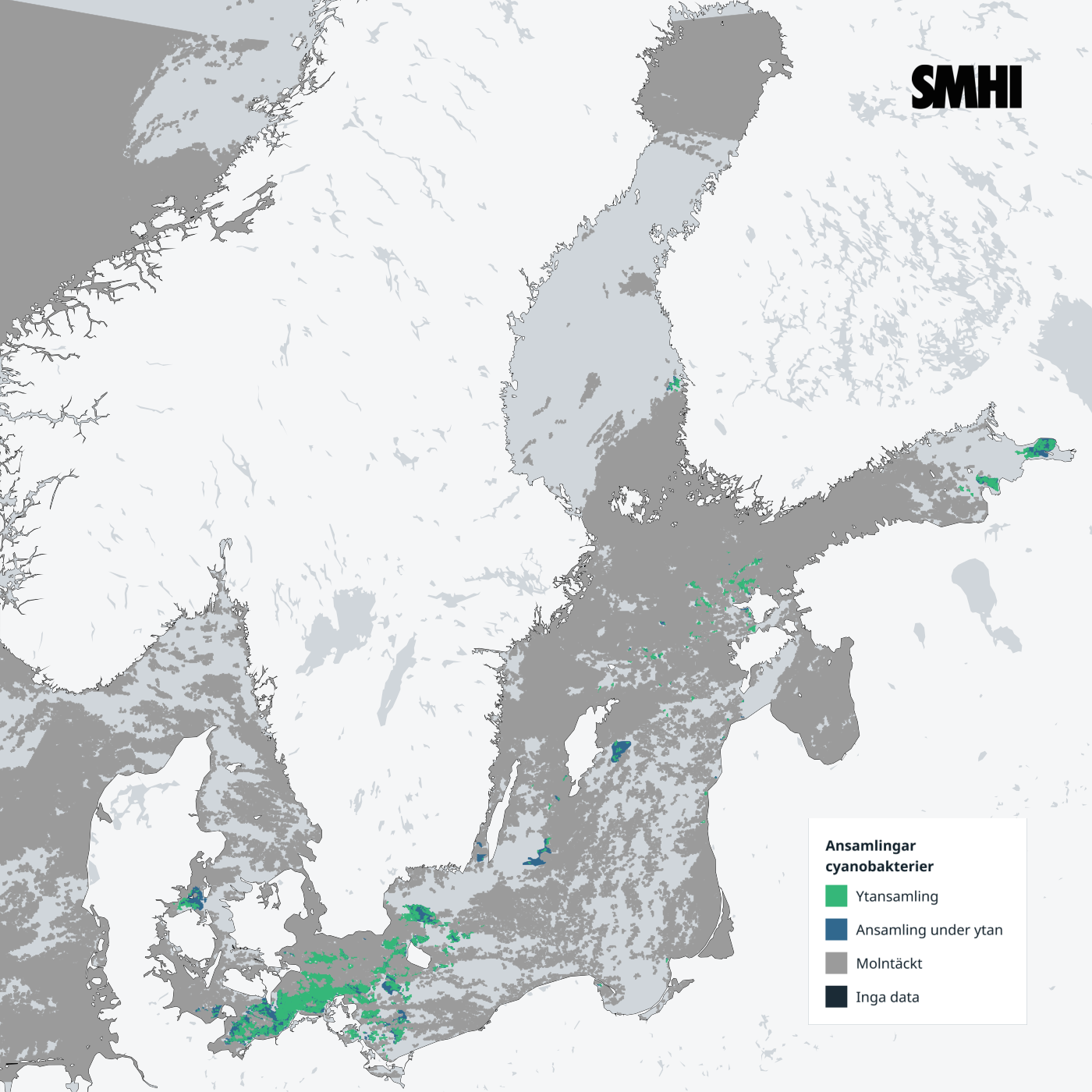 Cyanobakterier från sydvästra Östersjön till norra Östersjön och i Finska viken. Källa: SMHI.
