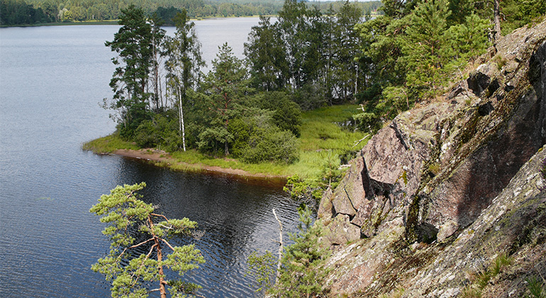 En brant klippa där det växer tall, lavar och mossor stupar ner mot en sjö.