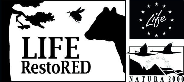 Kombinerad logotype LIFE RestoRED och N2000