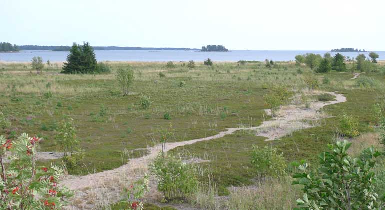 Stenöorn utgörs av en låglänt sandig udde som bjuder på rikt fågelliv. Foto: Länsstyrelsen Gävleborg