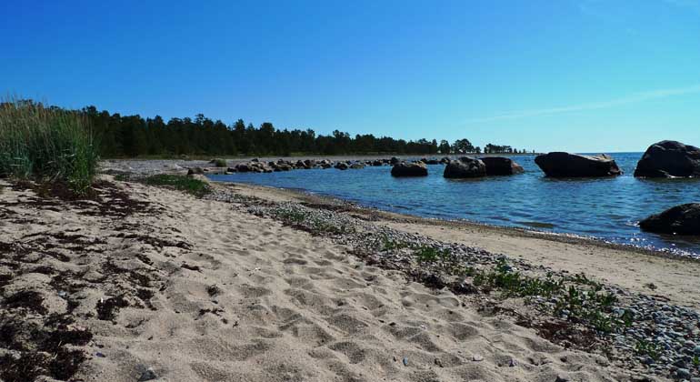 Blå himmel och blått hav vid Snäckens långa sandstrand. Foto: Länsstyrelsen Gävleborg