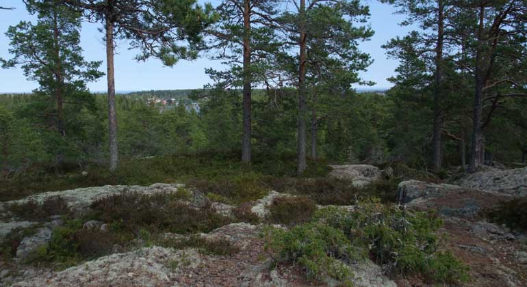 Utsikt över lantlig bebyggelse från Skämningön. Foto: Länsstyrelsen Gävleborg