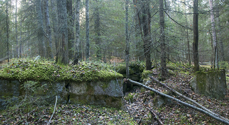 Stengrund i skogen.