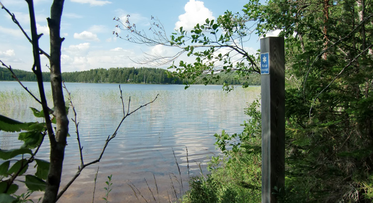 Långbrobodsjön i Långbro naturreservat. Foto: Länsstyrelsen Gävleborg