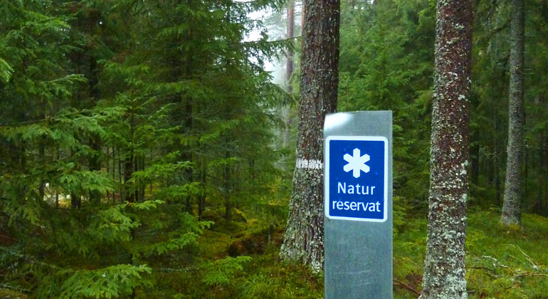 En stolpe med ett märke för naturreservat framför en skog