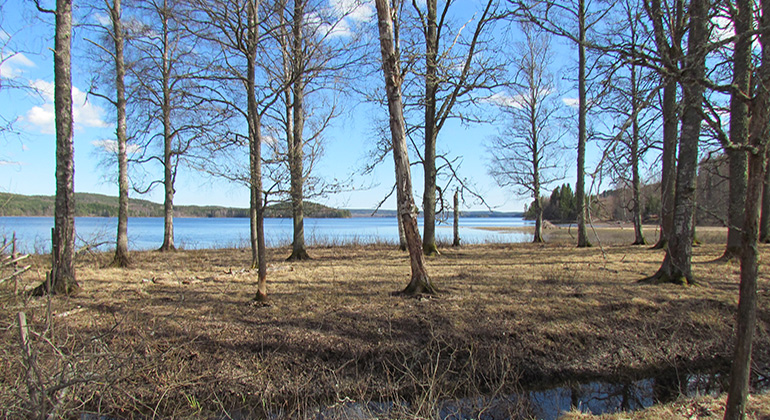 Framför sjön finns glest spridda lövträd.